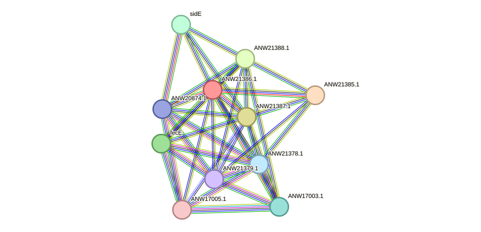 STRING protein interaction network