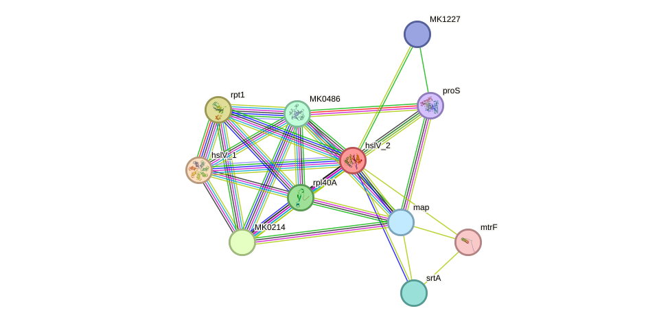 STRING protein interaction network