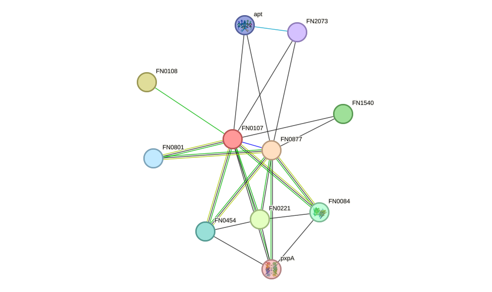 STRING protein interaction network