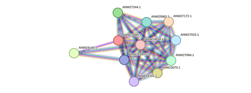 STRING protein interaction network