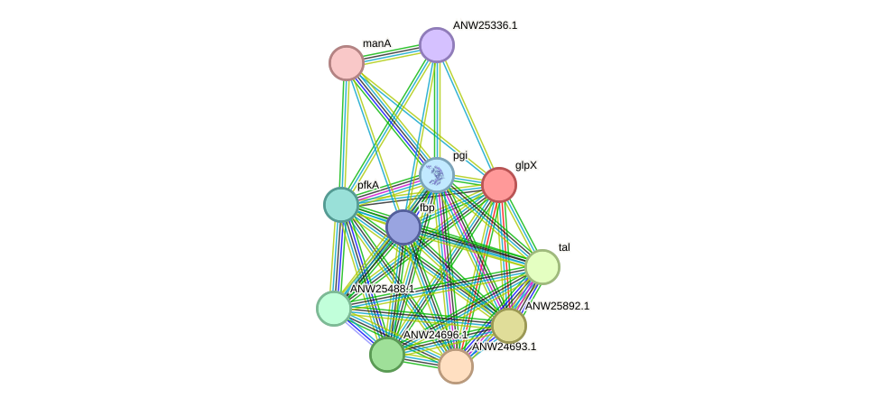 STRING protein interaction network