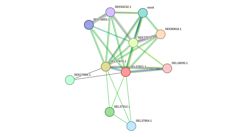 STRING protein interaction network