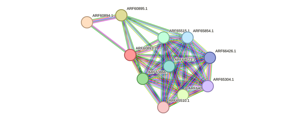 STRING protein interaction network