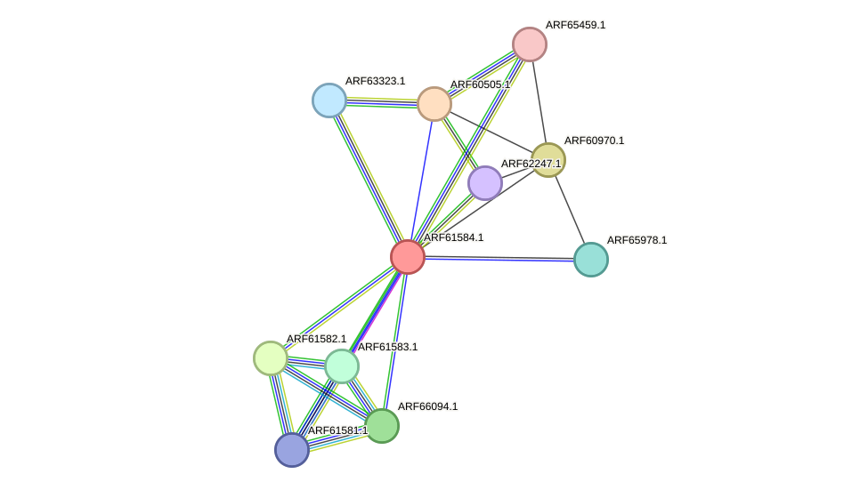 STRING protein interaction network