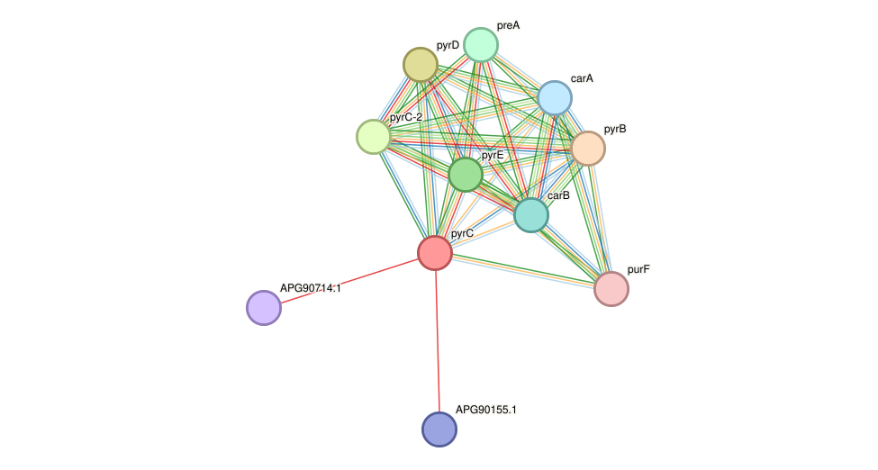 STRING protein interaction network