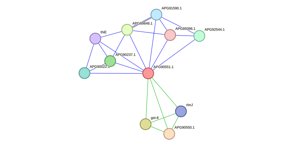 STRING protein interaction network