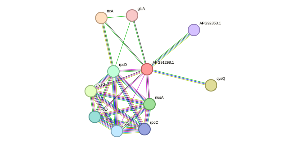 STRING protein interaction network