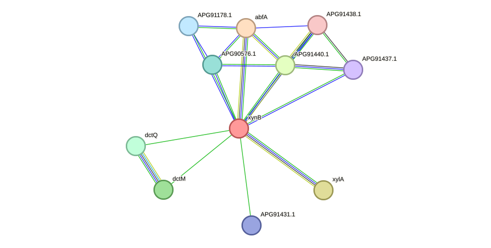 STRING protein interaction network