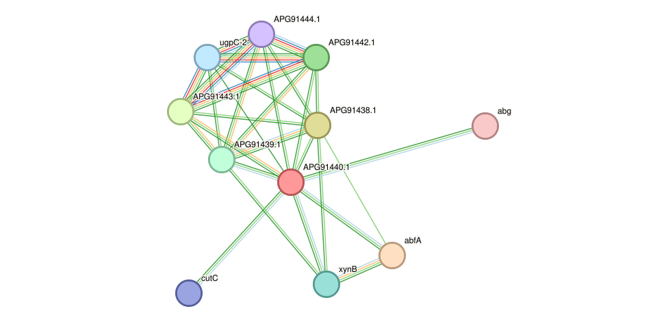 STRING protein interaction network