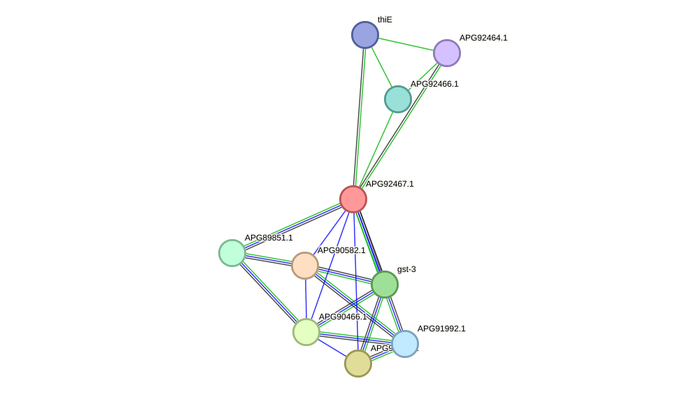 STRING protein interaction network