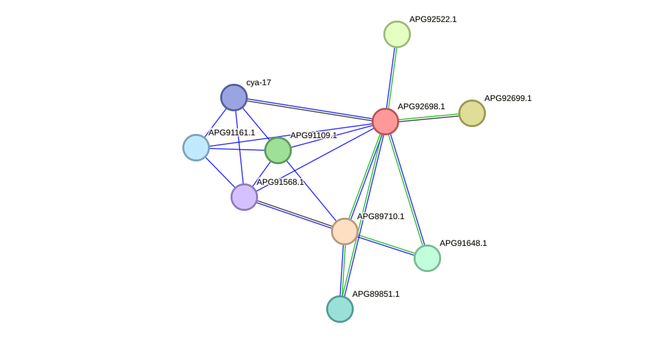 STRING protein interaction network