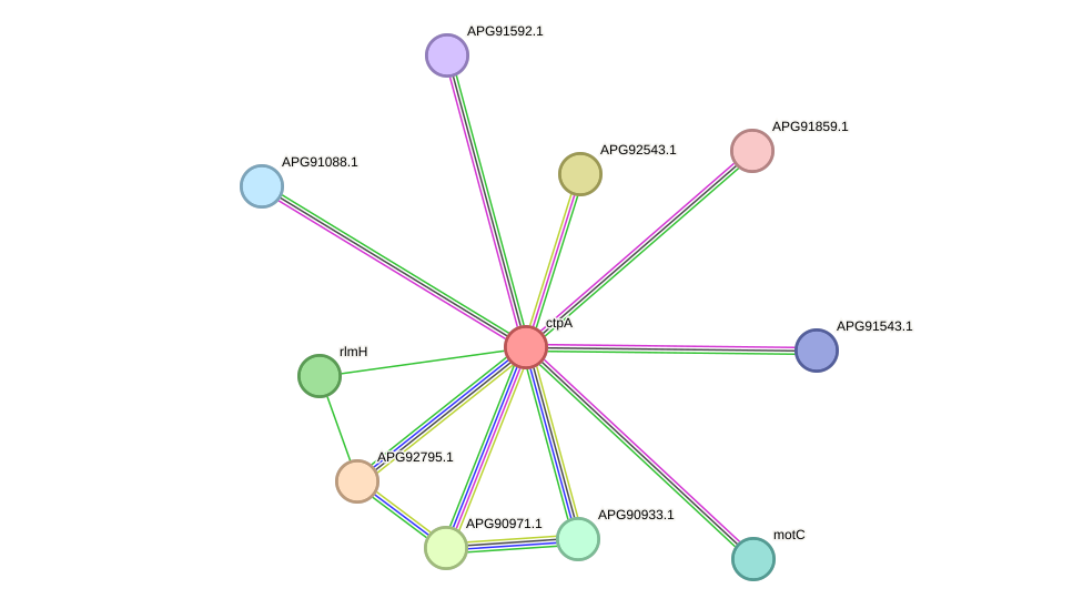 STRING protein interaction network