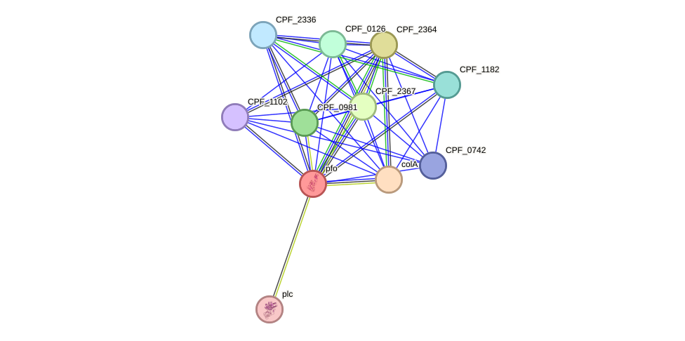 STRING protein interaction network