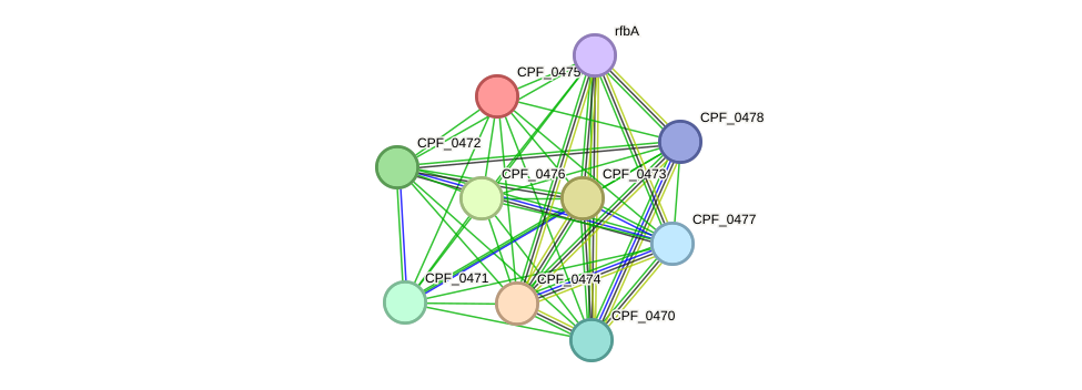 STRING protein interaction network