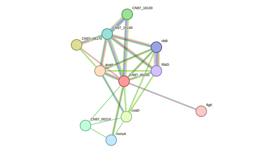 STRING protein interaction network