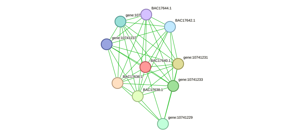 STRING protein interaction network