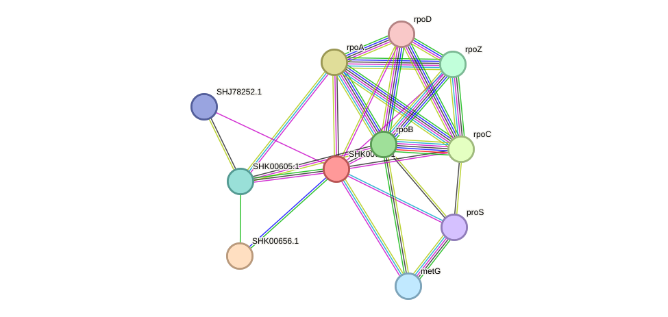 STRING protein interaction network