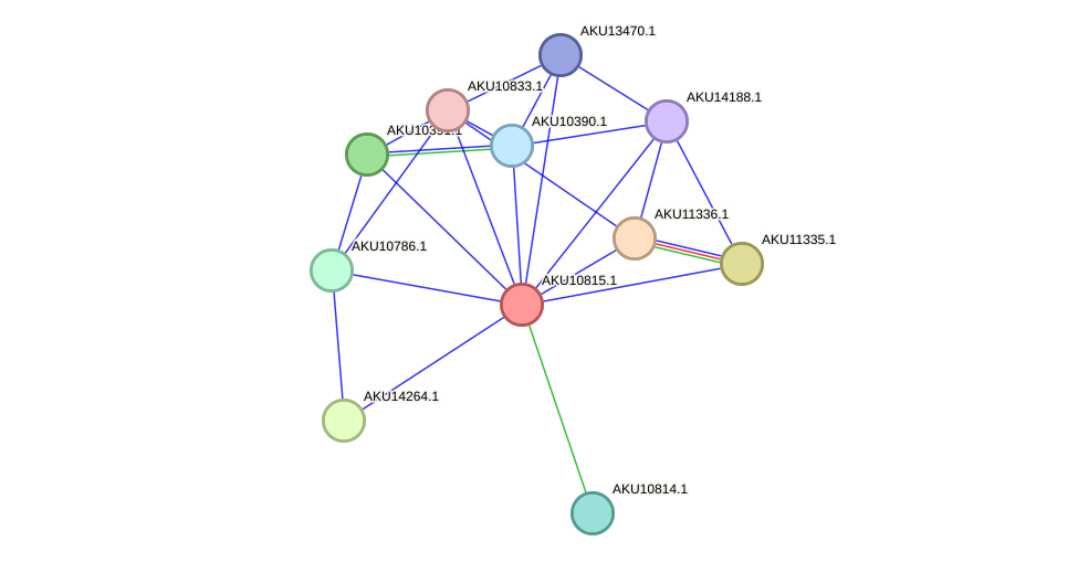 STRING protein interaction network