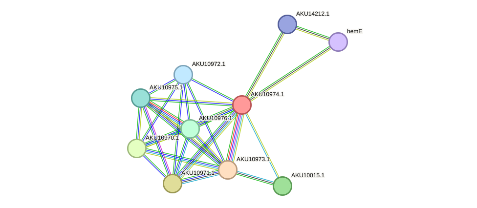 STRING protein interaction network