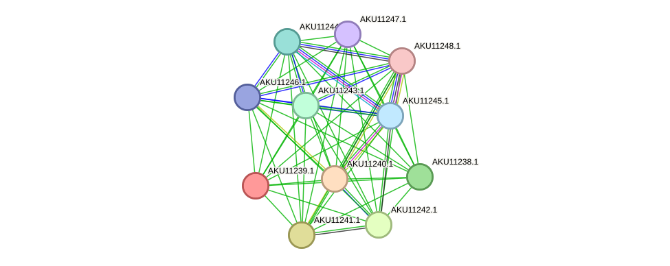 STRING protein interaction network