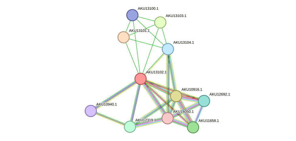 STRING protein interaction network
