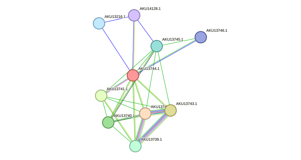 STRING protein interaction network