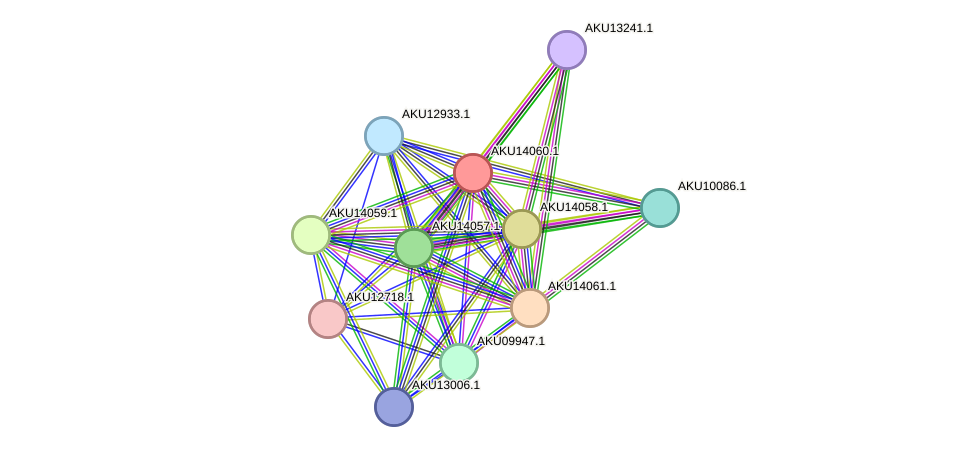 STRING protein interaction network