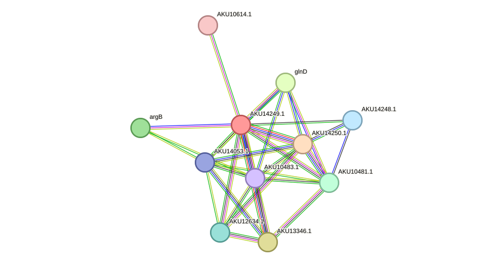 STRING protein interaction network