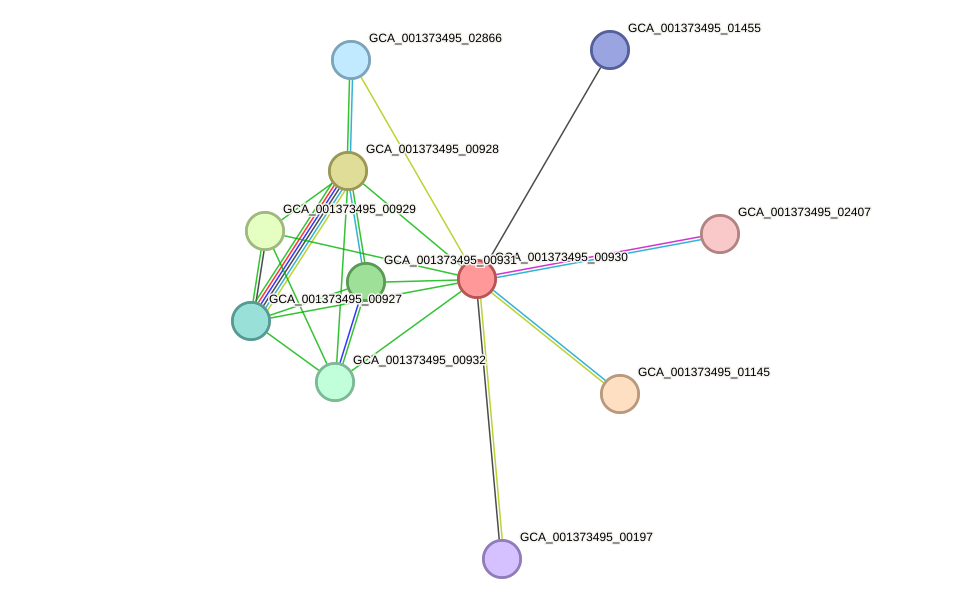 STRING protein interaction network