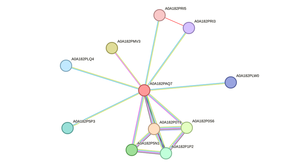 STRING protein interaction network