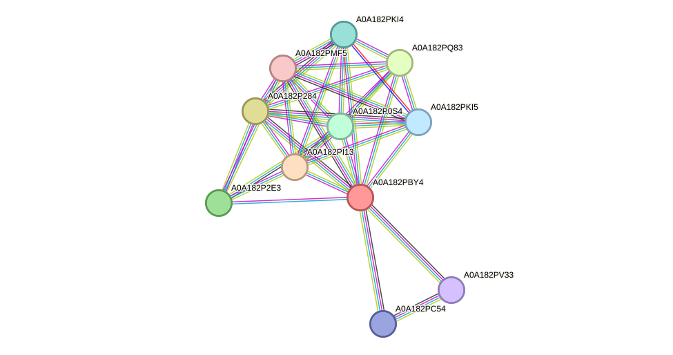 STRING protein interaction network