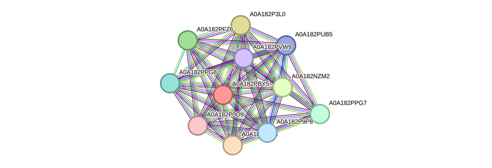 STRING protein interaction network