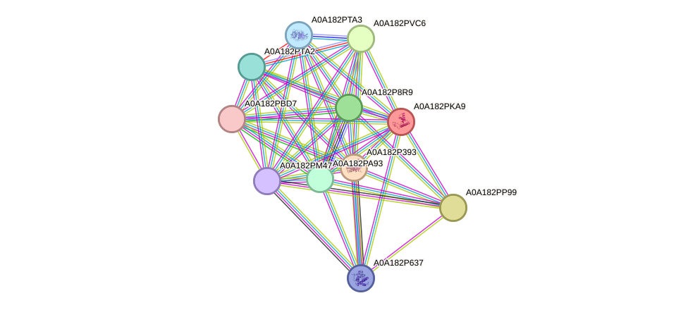 STRING protein interaction network