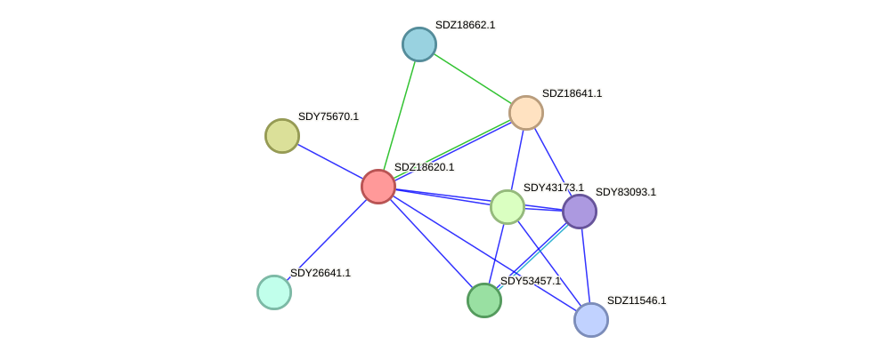 STRING protein interaction network