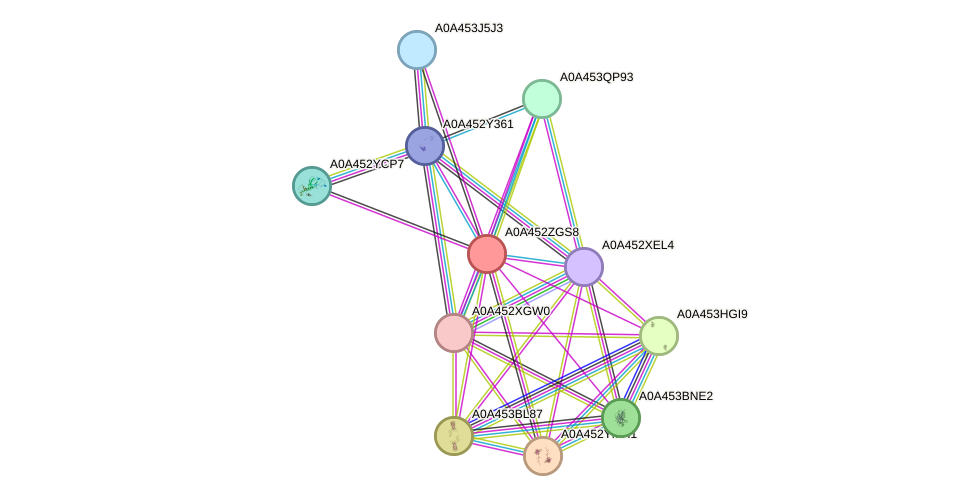 STRING protein interaction network