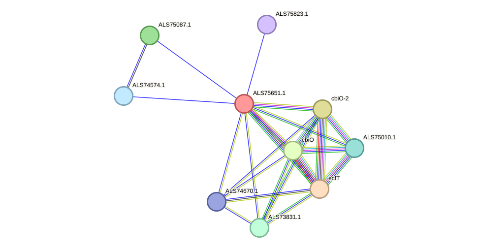 STRING protein interaction network