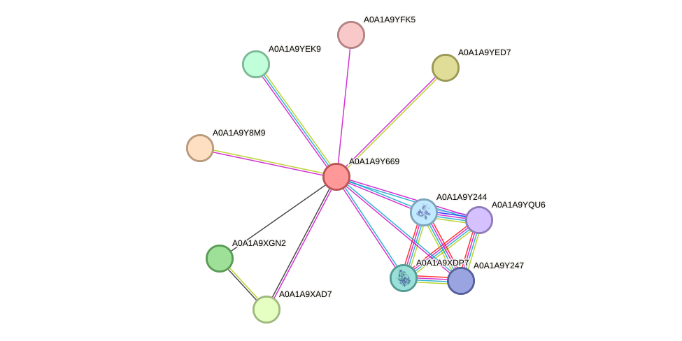 STRING protein interaction network