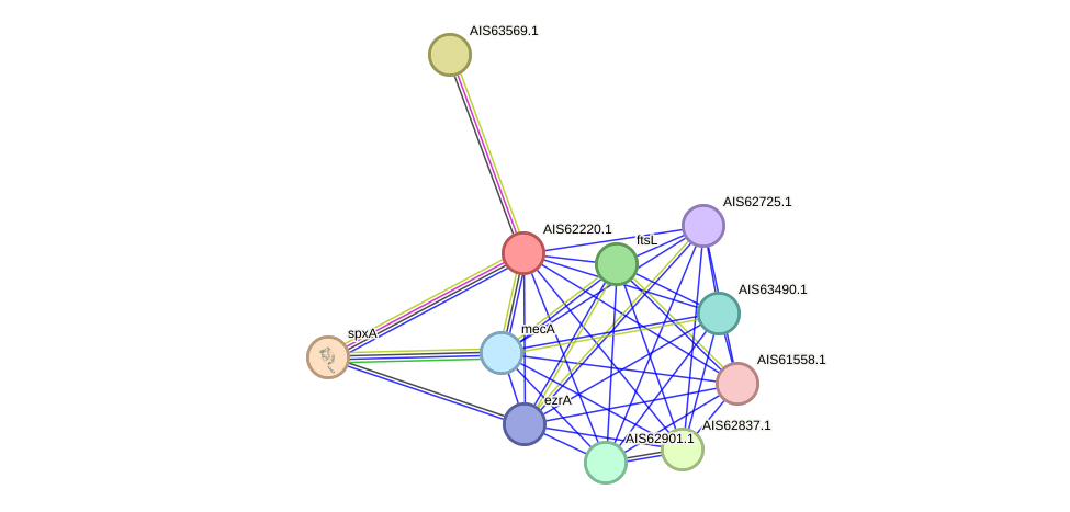 STRING protein interaction network