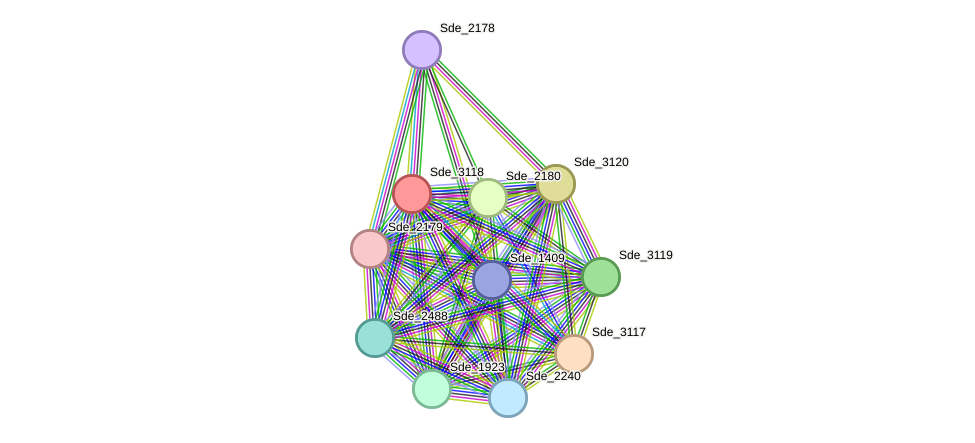 STRING protein interaction network