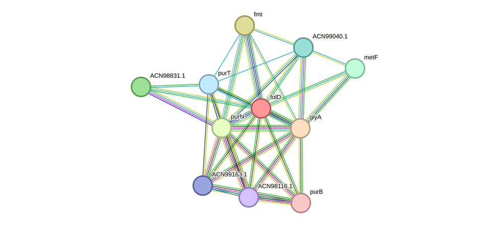 STRING protein interaction network