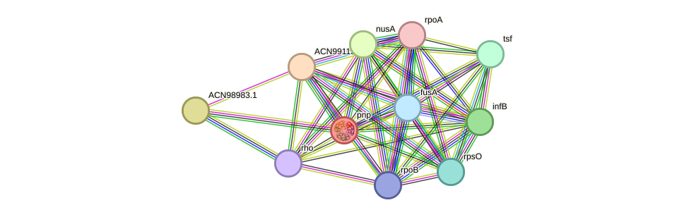 STRING protein interaction network