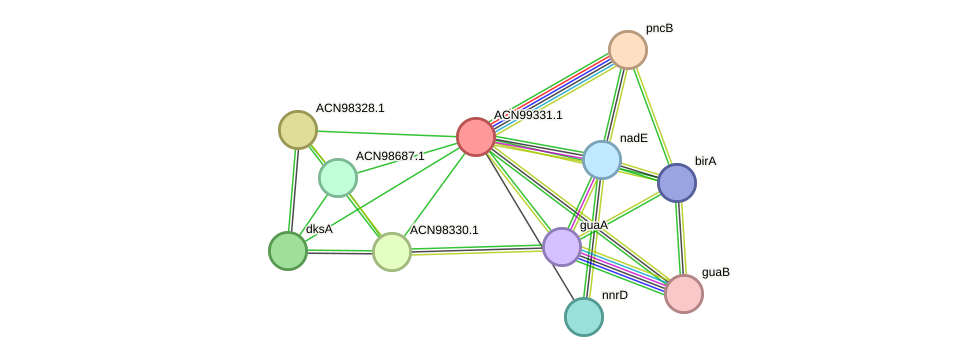 STRING protein interaction network