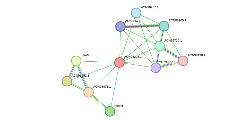 STRING protein interaction network