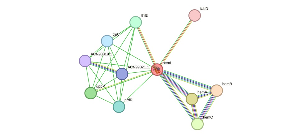 STRING protein interaction network