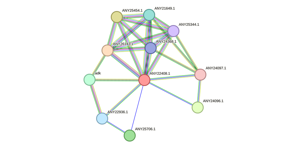 STRING protein interaction network