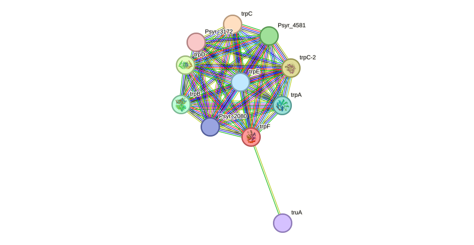 STRING protein interaction network