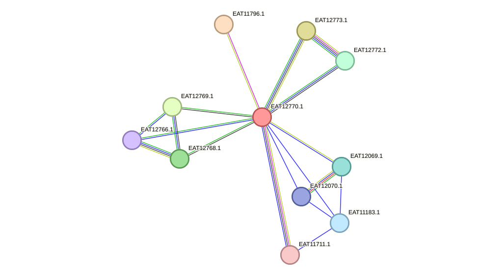 STRING protein interaction network