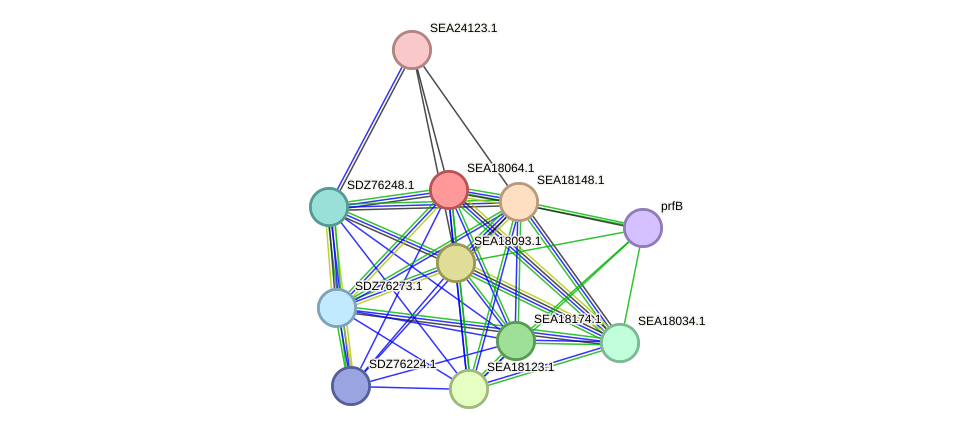 STRING protein interaction network