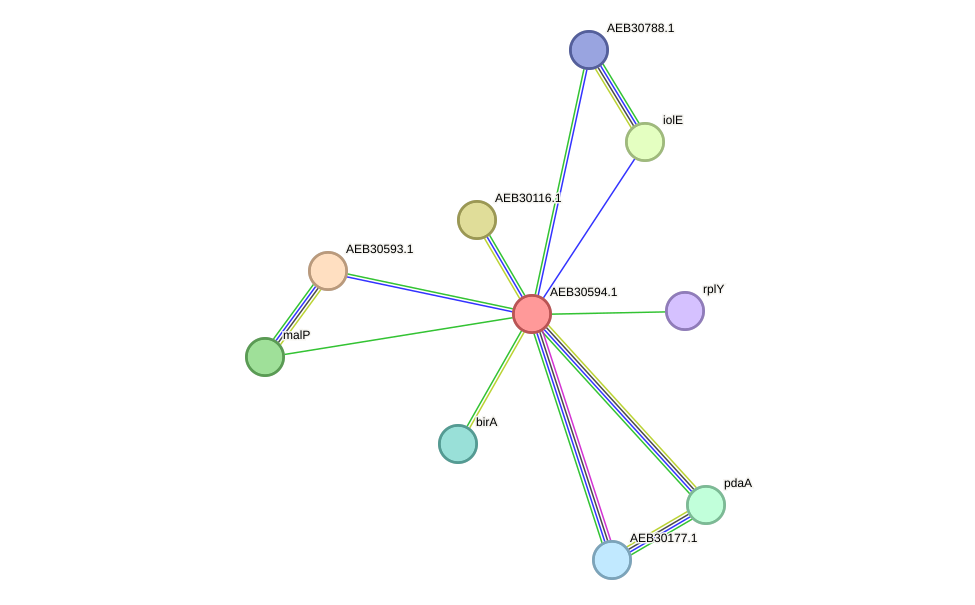 STRING protein interaction network