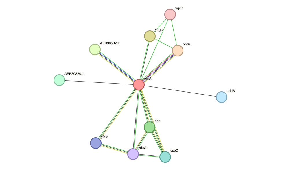STRING protein interaction network